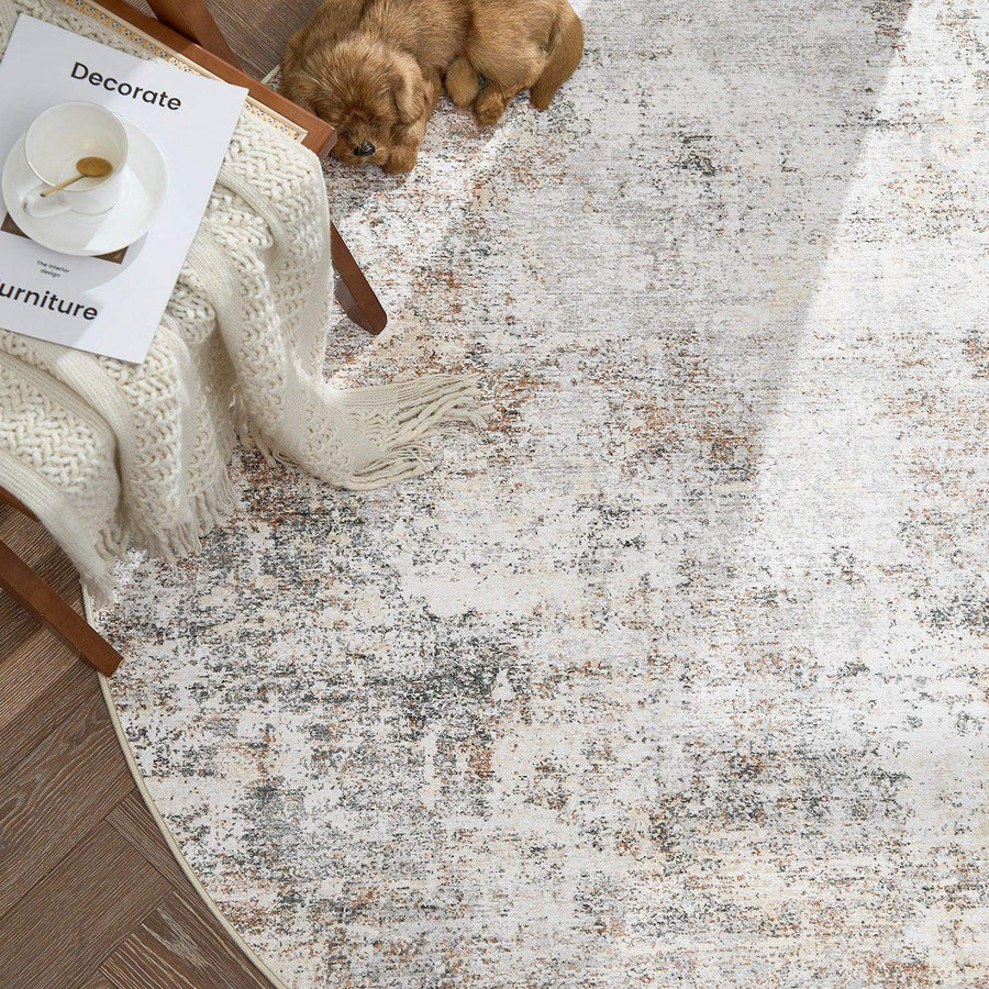 Vintage Patina Area Rug - Jinchan Home