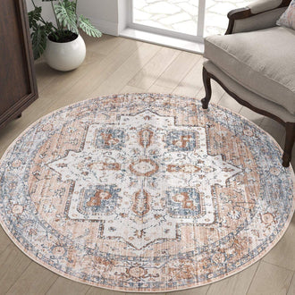 
                    
                      Vintage Persian-Style Distressed Area Rug - Jinchan Home
                    
                  