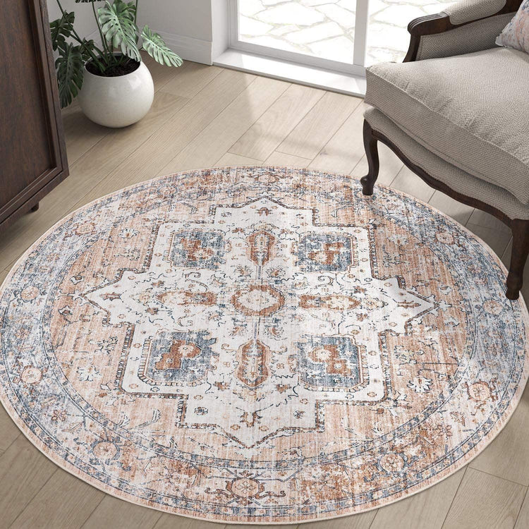 Vintage Persian-Style Distressed Area Rug - Jinchan Home