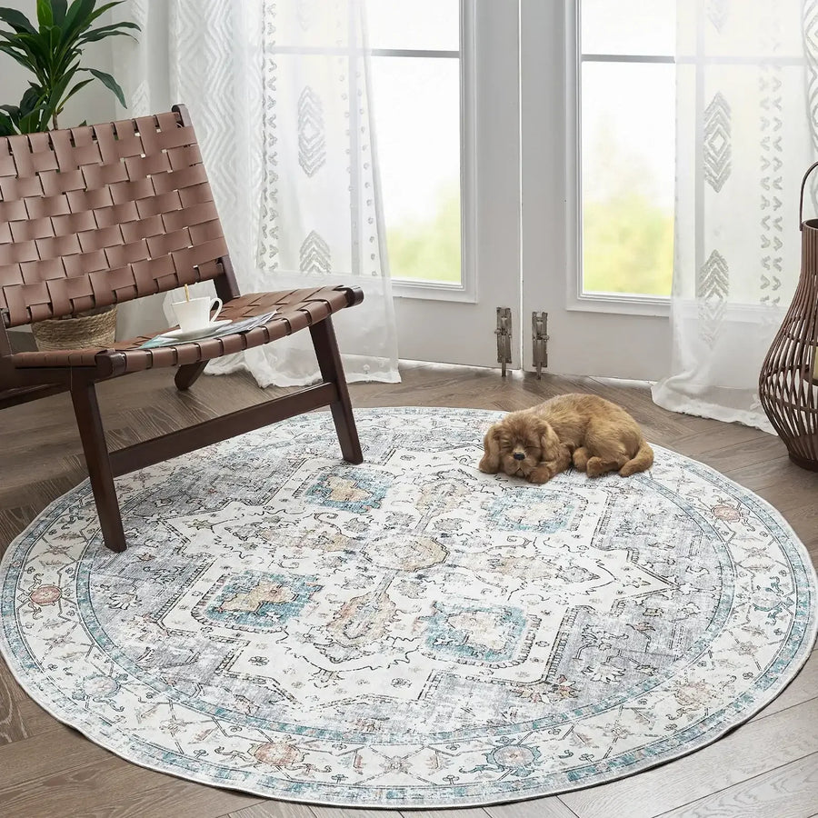 Vintage Persian-Style Distressed Area Rug - Jinchan Home