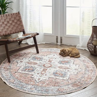 Vintage Persian-Style Distressed Area Rug - Jinchan Home