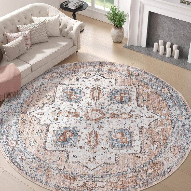 Vintage Persian-Style Distressed Area Rug - Jinchan Home