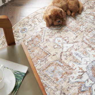 
                    
                      Mist-Toned Persian Bloom Rug - Jinchan Home
                    
                  