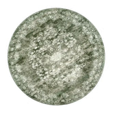 Faded Persian Medallion Area Rug - Jinchan Home