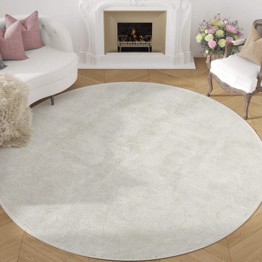 Cloudy Plush Rug - Jinchan Home